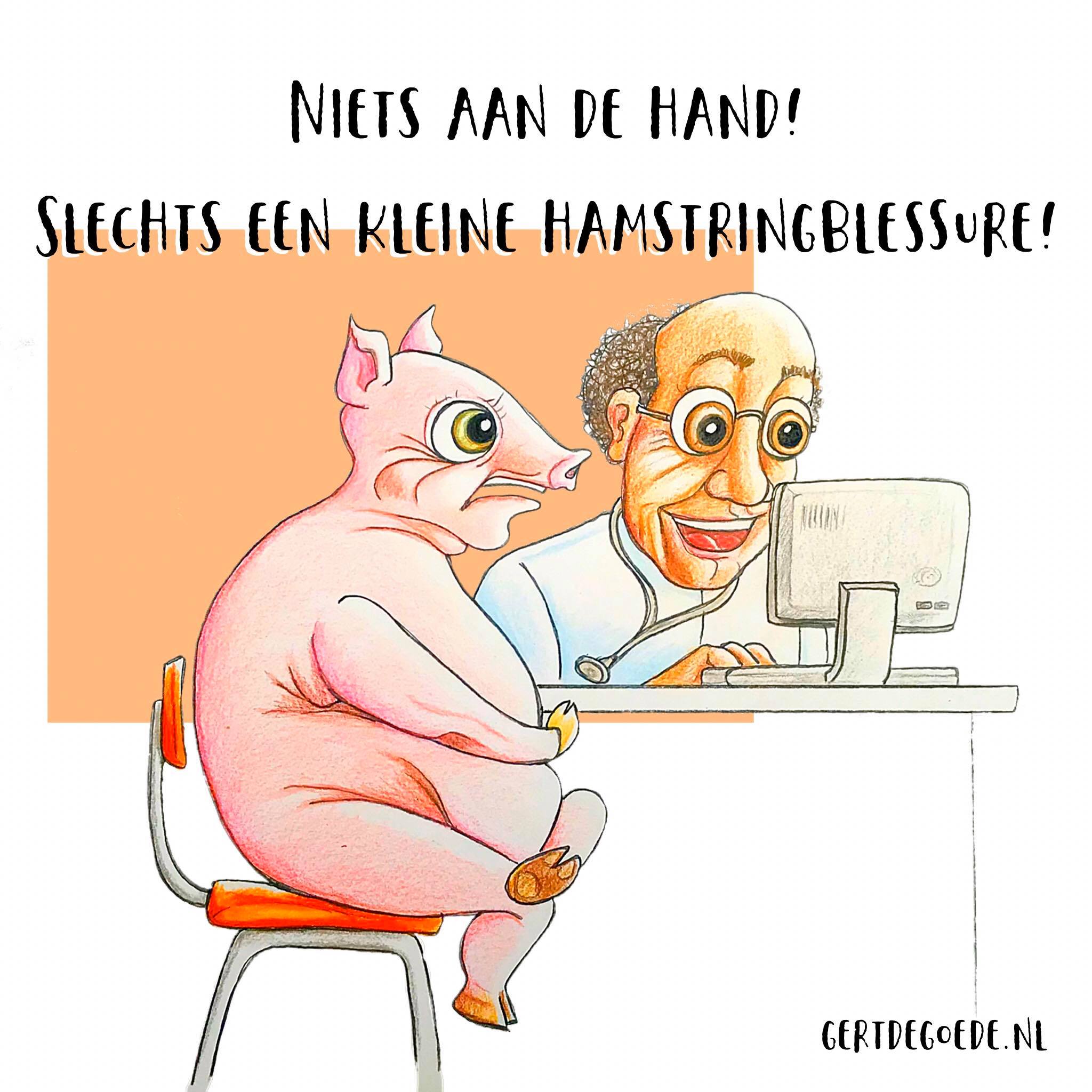 Niets aan de hand! Slechts een kleine HAMSTRING BLESSURE varken pig pork schwein cochon doctor dokter #illustration #illustrator #illustratie #illustrazione, #illustrazioni #cartoon #comic #artwork #cheerful #illo #artwork #cheerful #快活 插图 #gertdegoede #art #искусство #メリー #喜び #u笑い #遊び #イラスト #いい絵 #хорошая #картинка #иллюстрация توضيح# #ilustración #ілюстрацыя