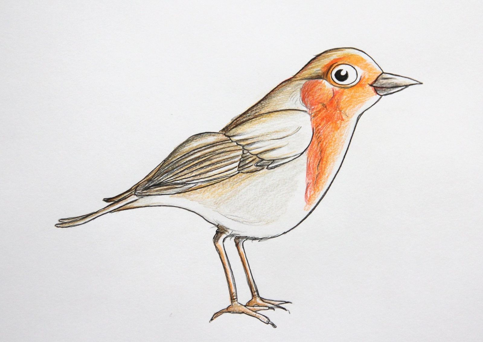 #Uden #illustrate #illustrations #illustrator #illustrazion #drawing #illustrate #illustrations #illustration #illustratie #illustrazione #drawing #zeichnung #art #artwork #instadrawing #tekening #photoedit #kunst #peinture #holland #print #ambachtelijk #ambacht #gertdegoede #cartoon #pattern #bookillustrations #maashorst verhalen de 7 van de oss nistelrode schaijk heesch uden oer Roodborstje